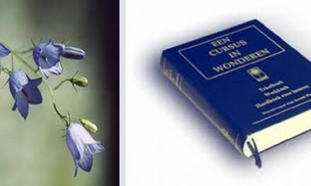 Meditatief Een cursus in wonderen lezen