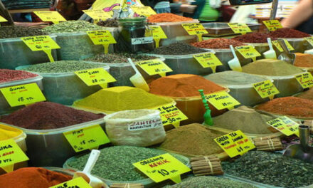 Gezondheidsclaims van planten en kruiden zijn (voorlopig) toegestaan