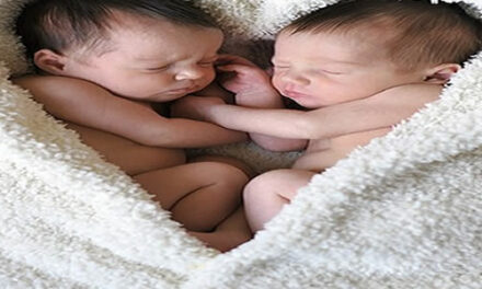 Het wonder van het leven