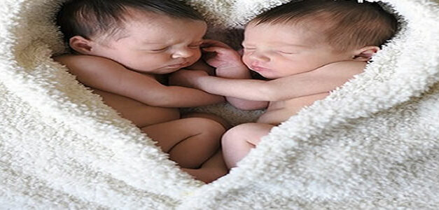 Het wonder van het leven