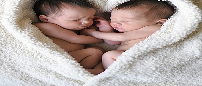 Het wonder van het leven