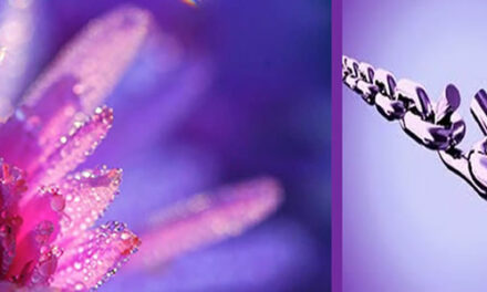 HEAVEN EARTH, full movie