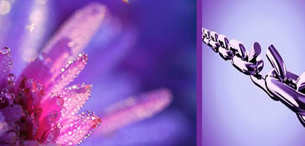 Forgiveness: My Burden Was Made Light