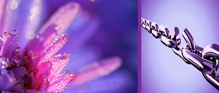 Forgiveness: My Burden Was Made Light