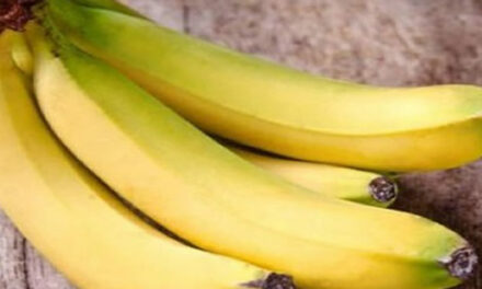 These Magical Minerals Whitens Stained TEETH Naturally