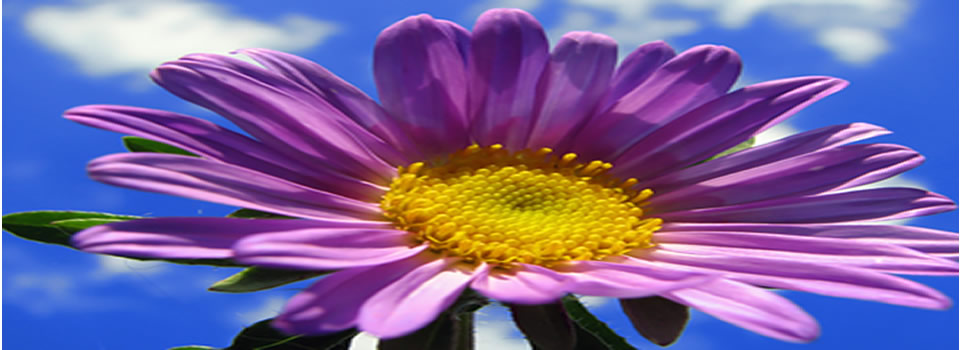 September 2015 Energy Forecast – Lee Harris