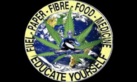 Hennep, de oplossing voor heel veel problemen!