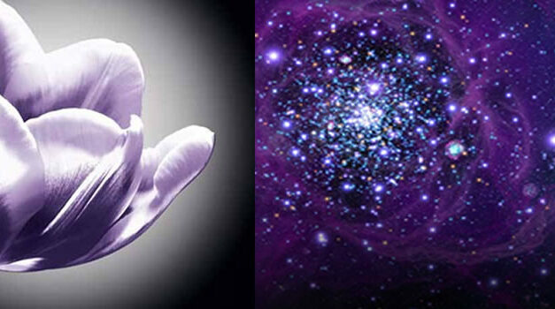 Liefde koestert geen grieven