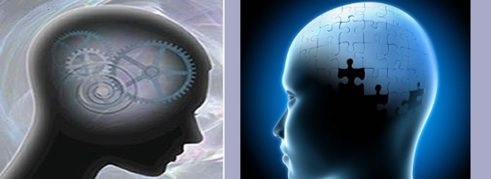 De oneindige mogelijkheden van het brein