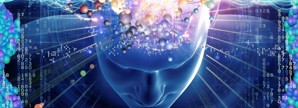 Five States of the Human Mind