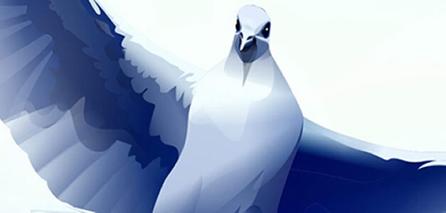 Vergeving is je enige functie hier…