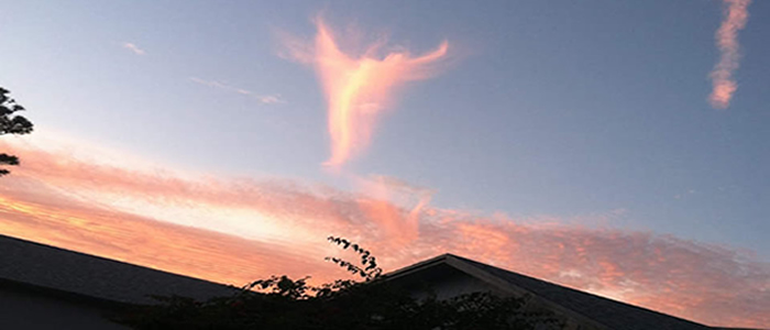 Angel in the Sky