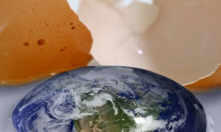 The Egg, a Magnificent Short Film- by Andy Weir