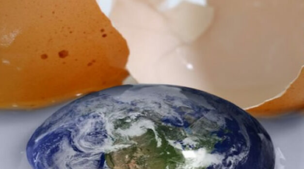 Zo gezond zijn eieren