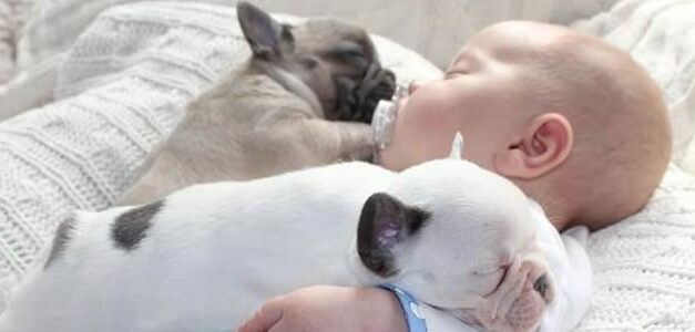 Geen dekens nodig…