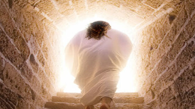 Super goed nieuws: Herrijzen uit de dood is mogelijk