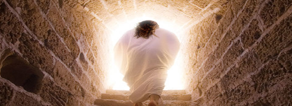 Super goed nieuws: Herrijzen uit de dood is mogelijk