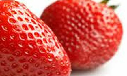 Aardbeien, lekker en gezond