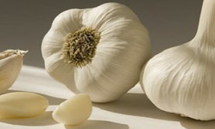 Voeding voor het reinigen van de lever