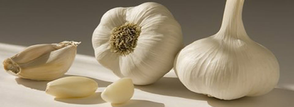 Voeding voor het reinigen van de lever