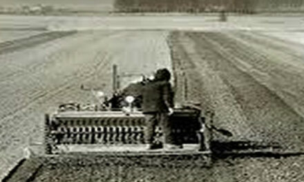 Zeg vaarwel tegen global warming, pesticiden, gentech en kunstmest