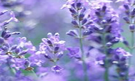 Ex CIA agent explains how to delete the elite!