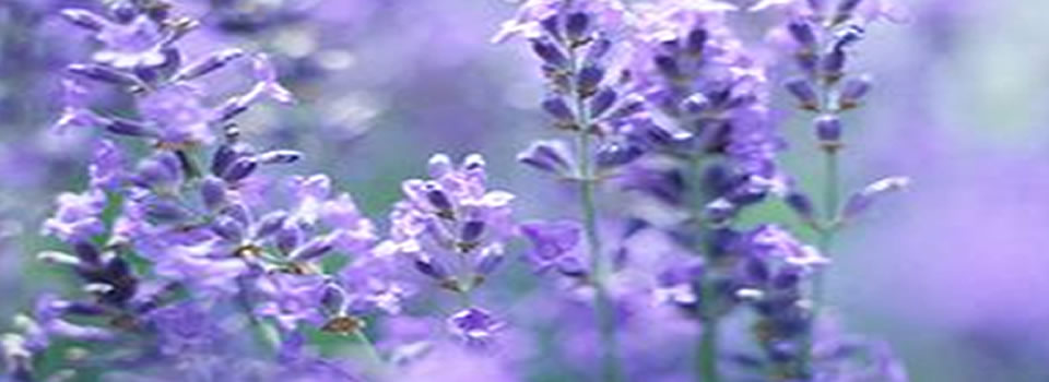 Love Thyself And Set Thyself Free