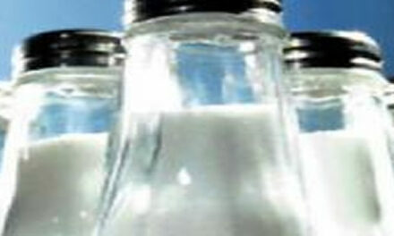 Natrium van belang voor hersenen