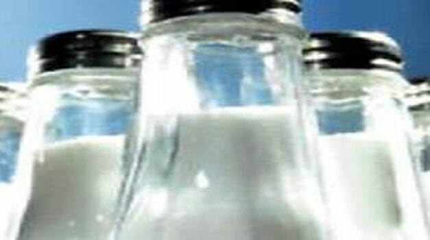 Natrium van belang voor hersenen