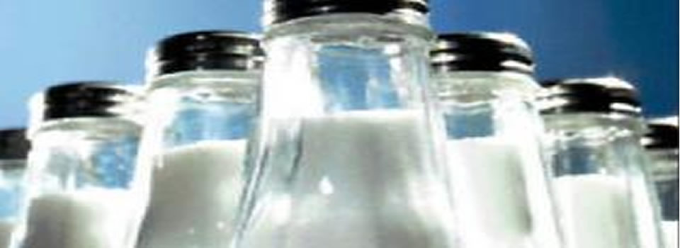 Natrium van belang voor hersenen