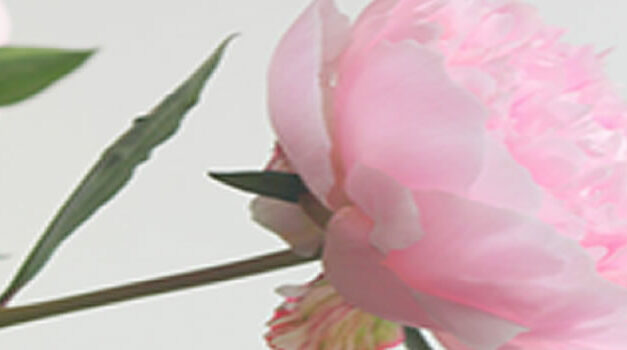 Een morele weg voor een betere toekomst