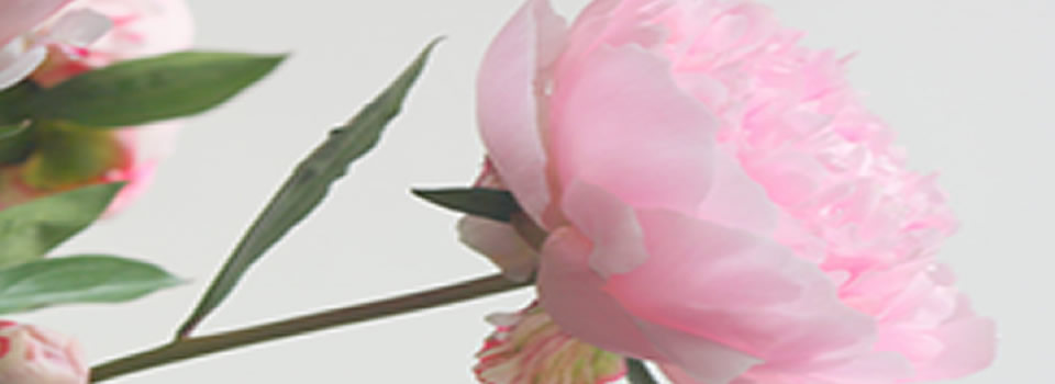 Een morele weg voor een betere toekomst