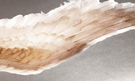 Moeder vergeeft moordenaar dochter