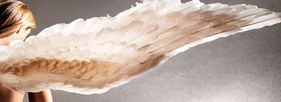 Geef je leven vleugels, 10 redenen voor optimisme