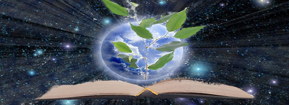 The Story of Michael White vs Monsanto