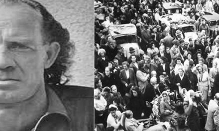 Wissenschaftler kommen zu Wort