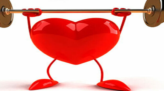 Hylke Bonnema over voelen en familie opstelling