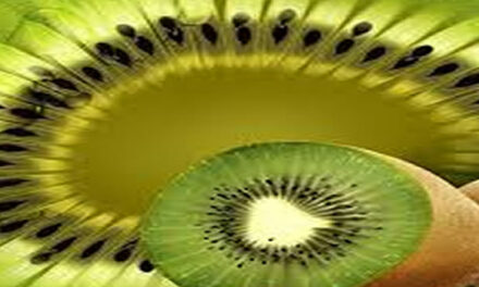 Kiwi, een voedzame vrucht