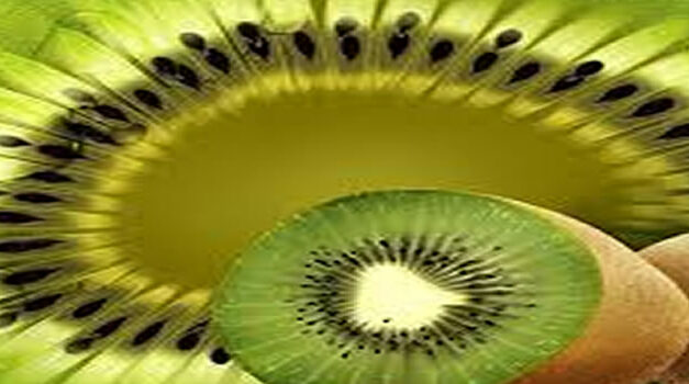 Kiwi, een voedzame vrucht