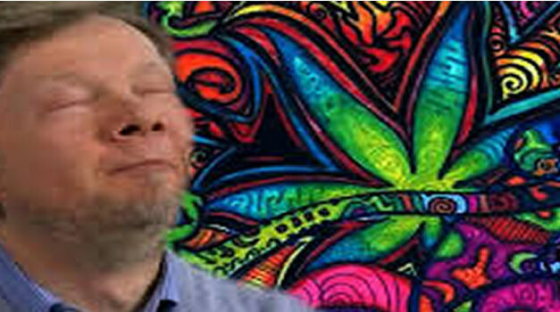 Eckhart Tolle in gesprek met Bradley Horowitz