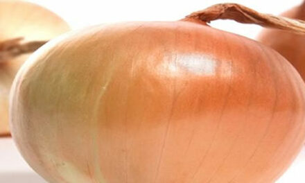 De vele voordelen van uien