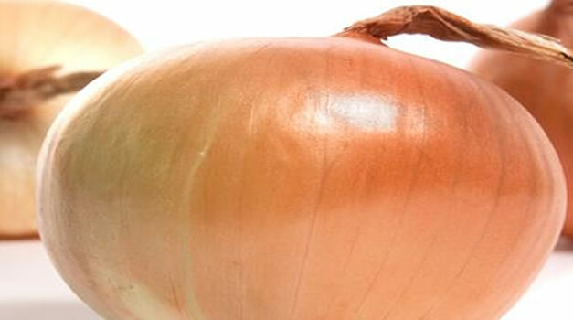 De vele voordelen van uien