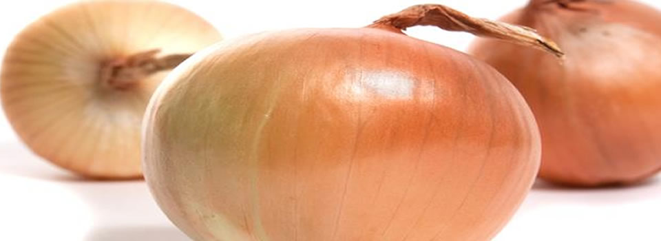 De vele voordelen van uien