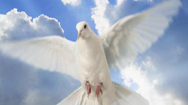 Understanding problems, and the art of living | J. Krishnamurti