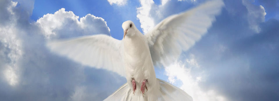 Eckhart Tolle over vergeven