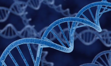 How to Upgrade Your Soul with DNA Activation