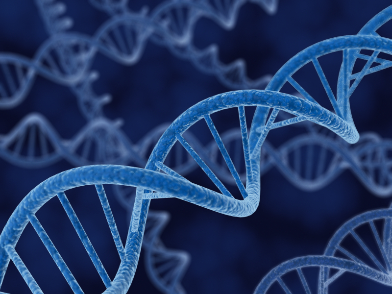 How to Upgrade Your Soul with DNA Activation