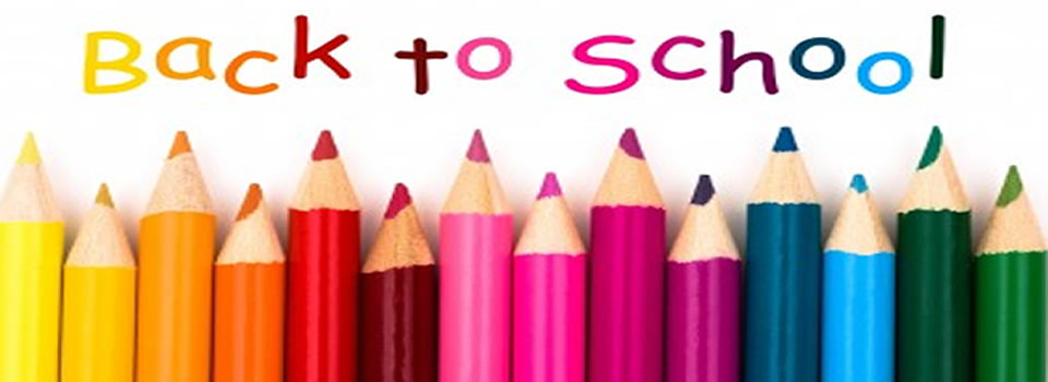 Waarom heeft niemand je dit op school geleerd?