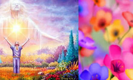 Thank you…Bring me more!