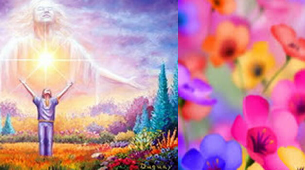 Thank you…Bring me more!